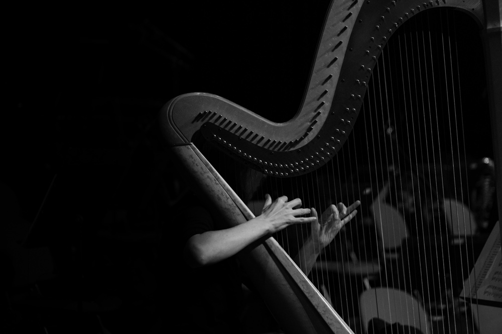 Concert-Pink-Martini-OSC1
