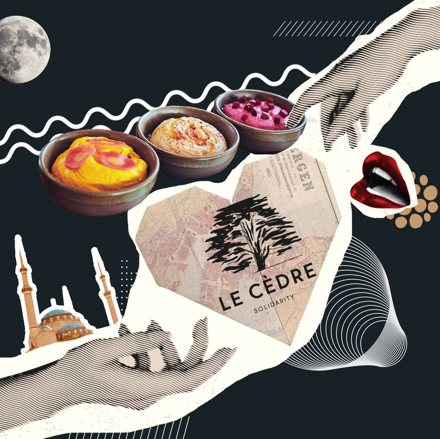 LE-CEDRE-SOLIDARITY