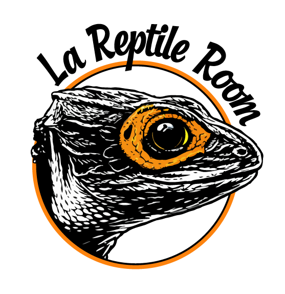 LOGO-CARRE-LA-REPTILE-ROOM
