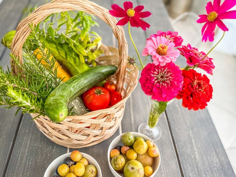 Chez-Tiramisu-jardin